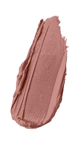 wet n wild Silk Finish Lipstick, Hydrating Rich Buildable Lip Color, Formulated with Vitamins A,E, & Macadamia for Ultimate Hydration, Cruelty-Free & Vegan - Just Garnet