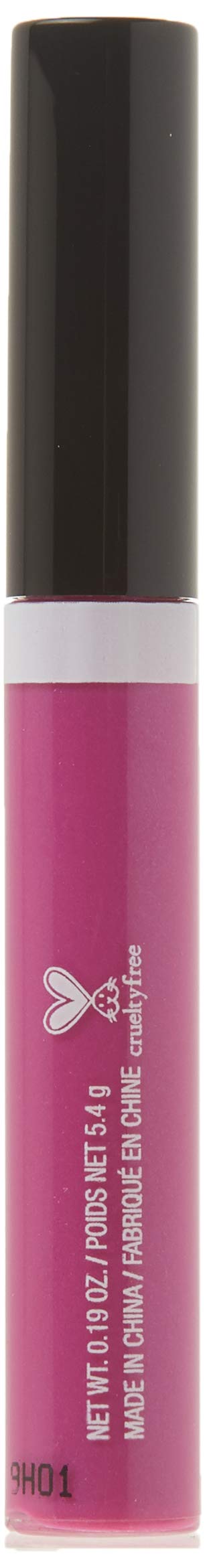 wet n wild Mega Slicks Lip Gloss | Long Lasting | Hyaluronic Acid | High Shine | Bronzed Berry